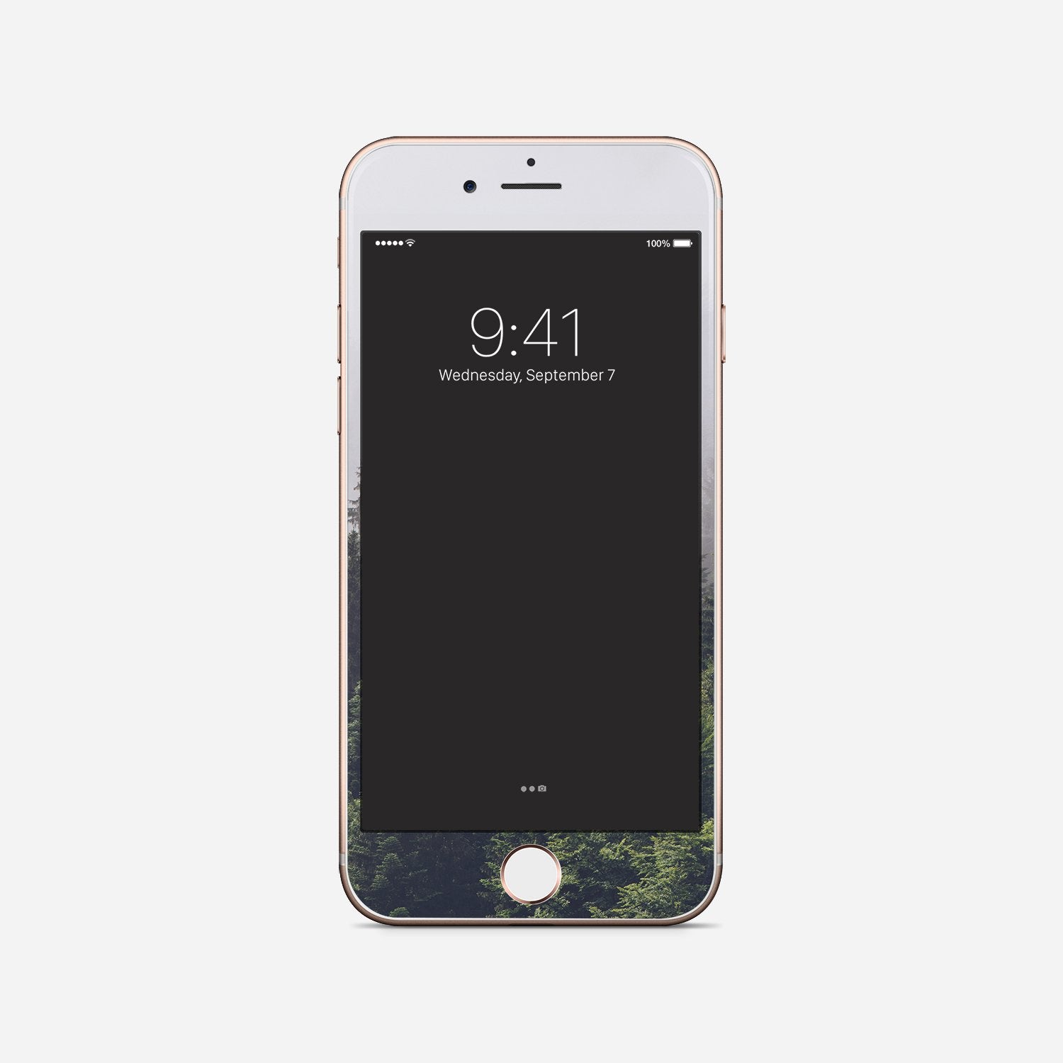 FOGGY FOREST Iphone/ Ipod vinyl skin
