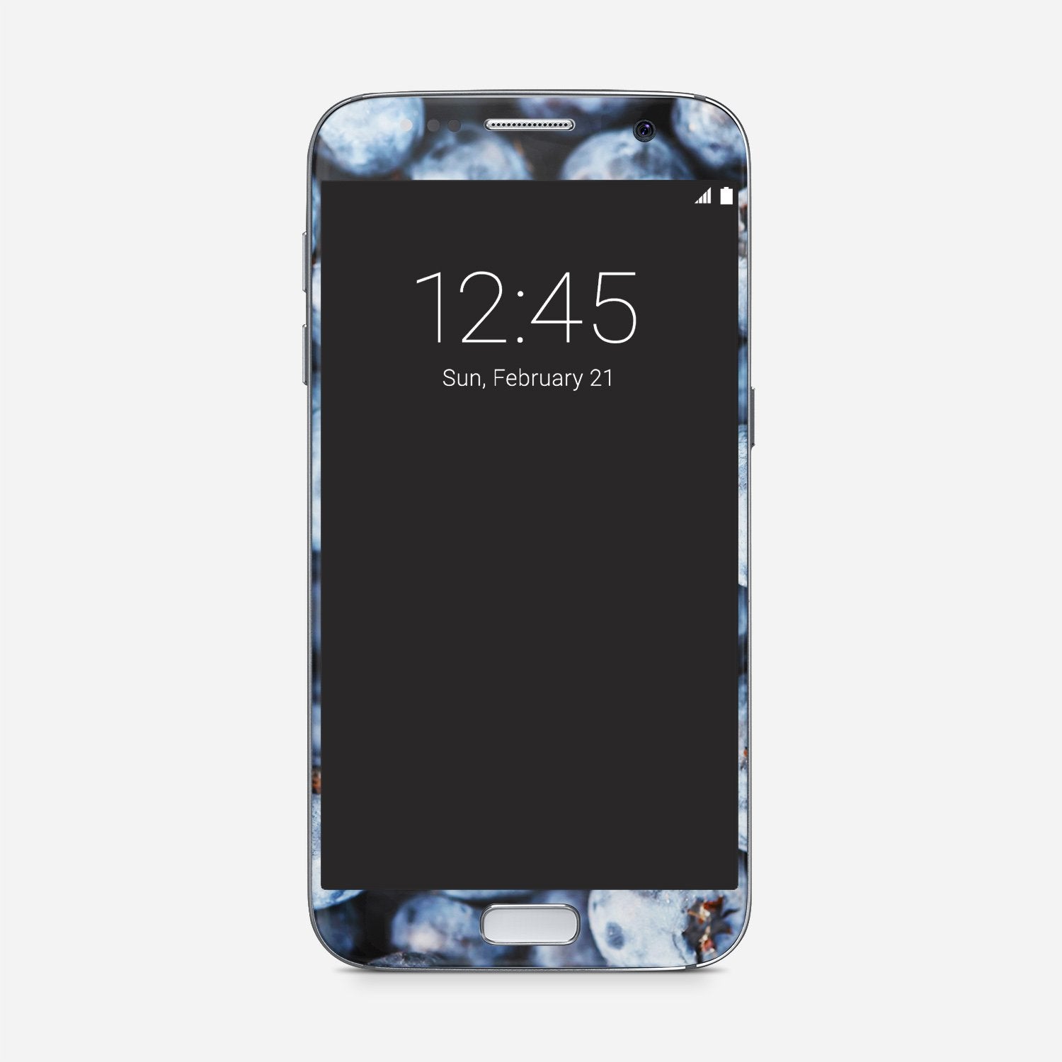BLUEBERRY Samsung vinyl skin